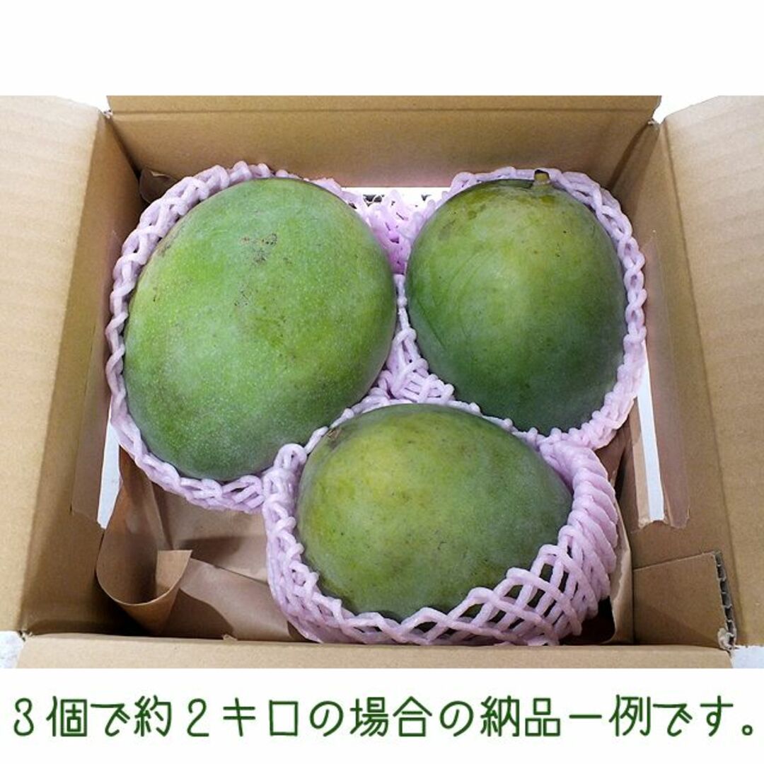 【送料込】沖縄産訳あり「Ｂ級品」扱いキーツマンゴー約２キロ┃滑らかな食感が人気 食品/飲料/酒の食品(フルーツ)の商品写真