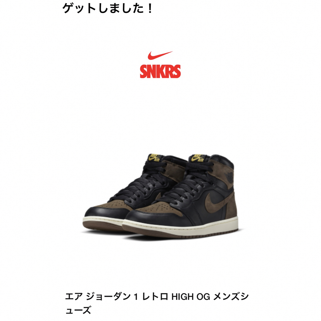 Jordan Brand（NIKE）(ジョーダン)のNike Air Jordan 1 Retro High OG Palomino メンズの靴/シューズ(スニーカー)の商品写真