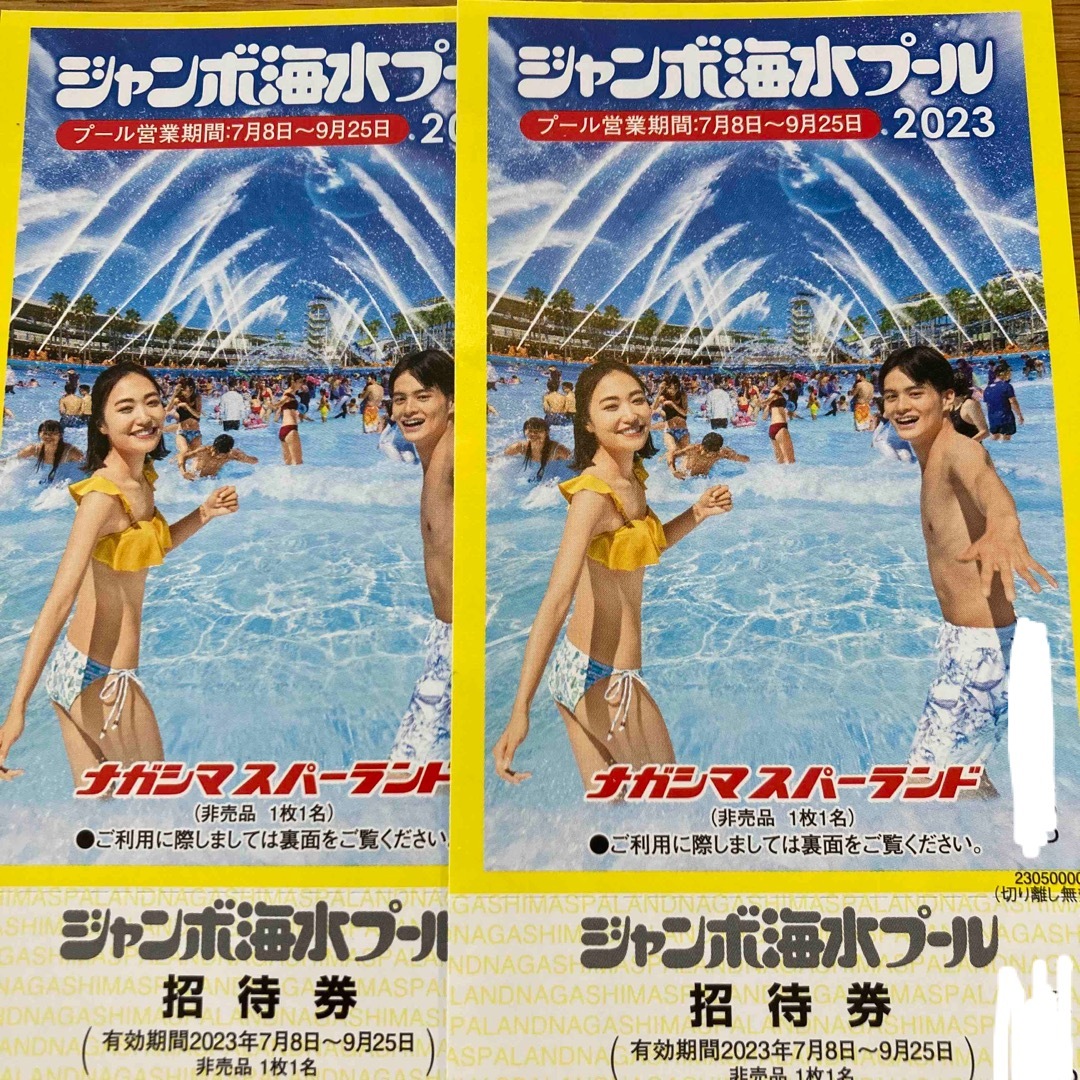 ナガシマジャンボ海水プール　2枚 チケットの施設利用券(プール)の商品写真