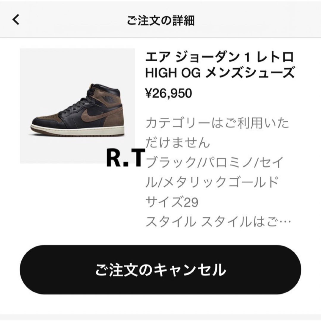 29cm■Nike Air Jordan 1 Retro High OG
