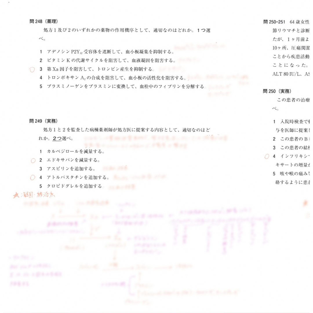 USB版108回〜97回薬剤師国家試験 ゴロ解答解説をオレンジペンで記入参考書