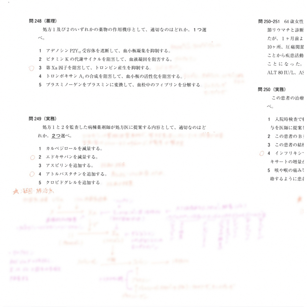 USB版108回〜97回薬剤師国家試験　ゴロ解答解説をオレンジペンで記入参考書 エンタメ/ホビーの本(資格/検定)の商品写真