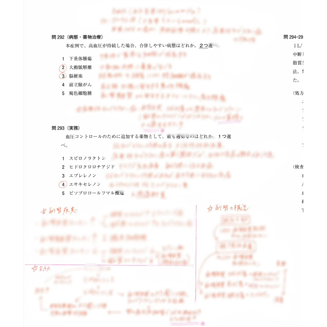 USB版108回〜97回薬剤師国家試験　ゴロ解答解説をオレンジペンで記入参考書 エンタメ/ホビーの本(資格/検定)の商品写真