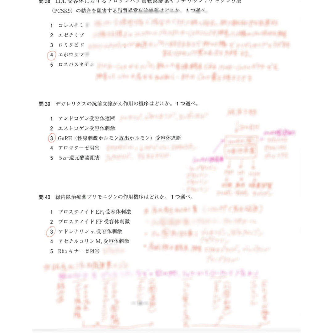 USB版108回〜104回薬剤師国家試験　ゴロ解答解説をオレンジペンで記入参考書 エンタメ/ホビーの本(語学/参考書)の商品写真