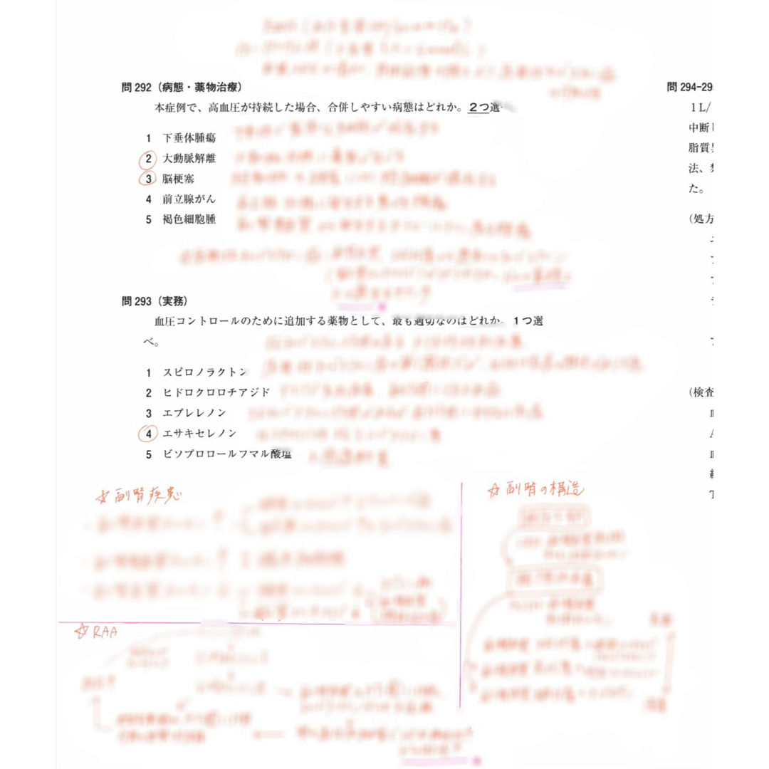 USB版108回〜104回薬剤師国家試験　ゴロ解答解説をオレンジペンで記入参考書 エンタメ/ホビーの本(語学/参考書)の商品写真