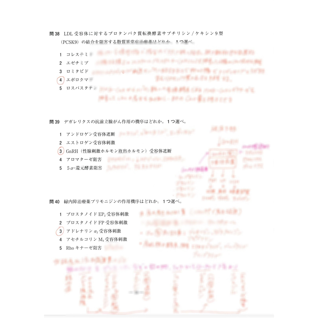 USB版108回〜104回薬剤師国家試験　ゴロ解答解説をオレンジペンで記入参考書 エンタメ/ホビーの本(資格/検定)の商品写真