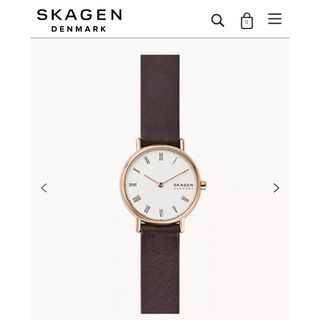 スカーゲン(SKAGEN)のSKAGENスカーゲン 腕時計(腕時計)