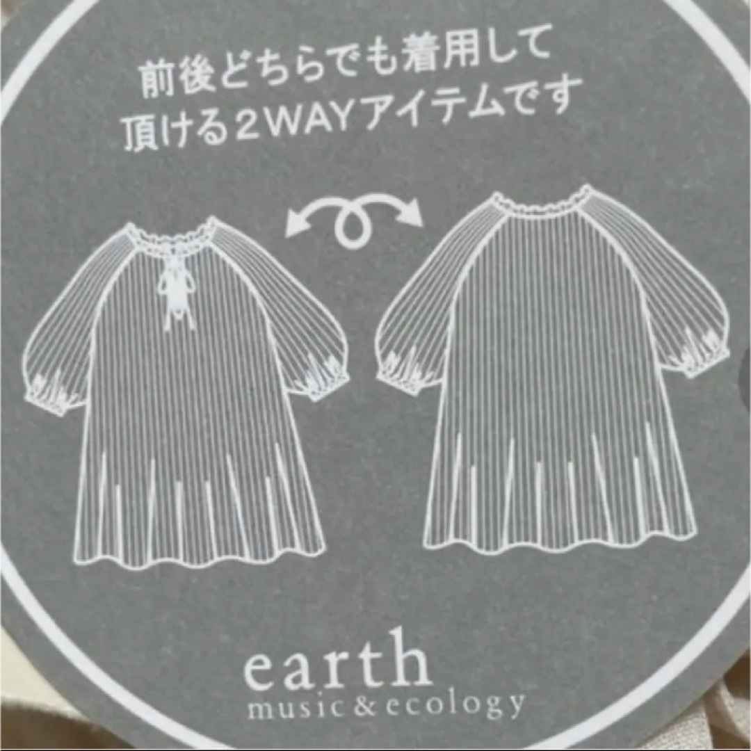 earth music & ecology(アースミュージックアンドエコロジー)のシフォンブラウス レディースのトップス(シャツ/ブラウス(長袖/七分))の商品写真