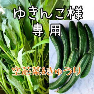 空芯菜ときゅうりセット(野菜)