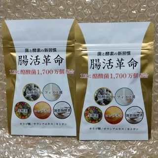 協和食研 腸活革命 31粒入 × 2個(その他)