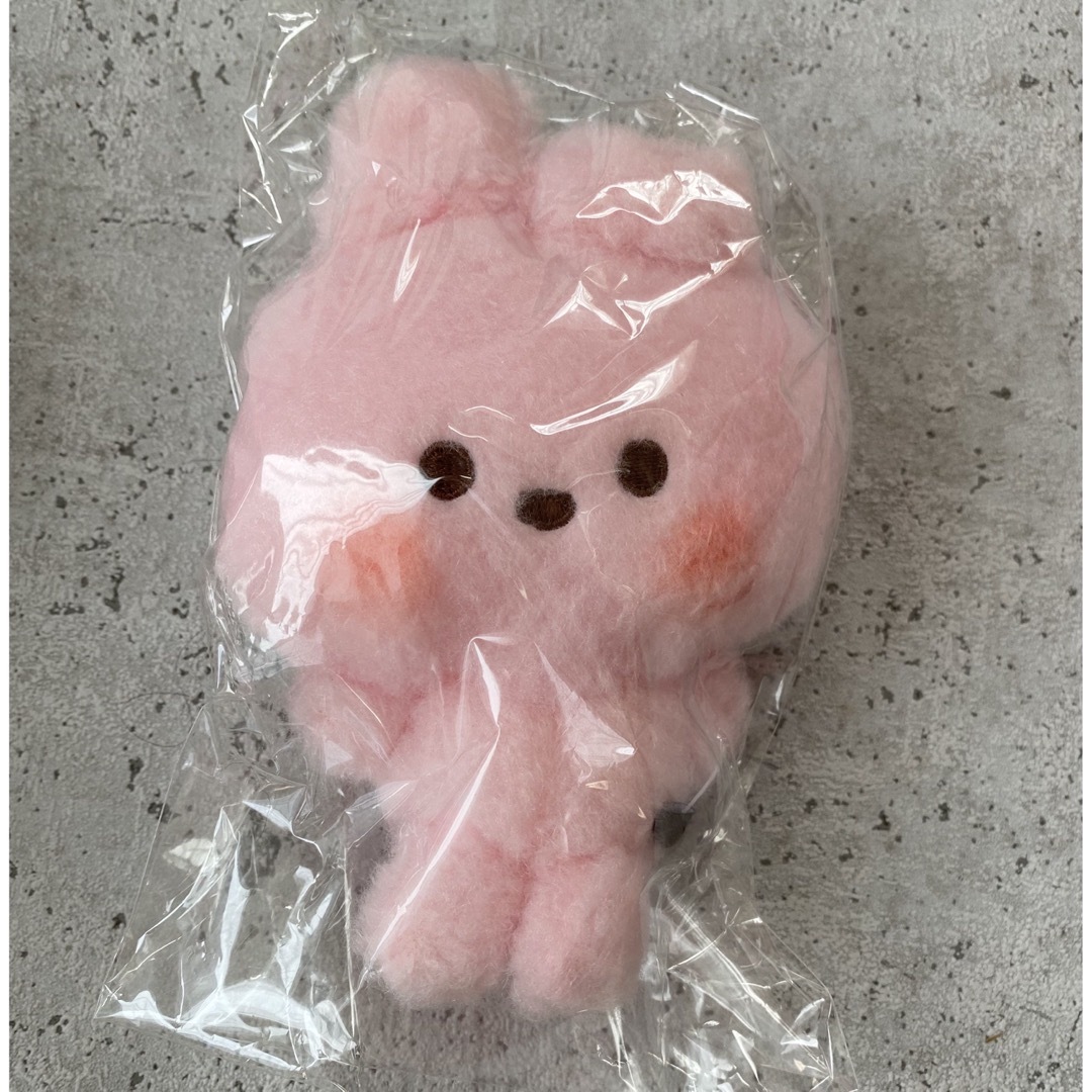 BT21(ビーティーイシビル)のBT21  クッキー COOKY タイニータン ぬいぐるみ たっとん エンタメ/ホビーのタレントグッズ(アイドルグッズ)の商品写真