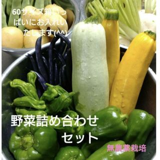 野菜詰め合わせセット　無農薬野菜（60サイズ）(野菜)