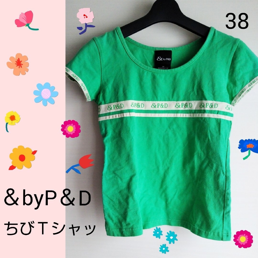 &byP&D(アンドバイピーアンドディー)のピンキーアンドダイアン  by ＆ P＆D  38   半袖  S 緑 グリーン レディースのトップス(Tシャツ(半袖/袖なし))の商品写真