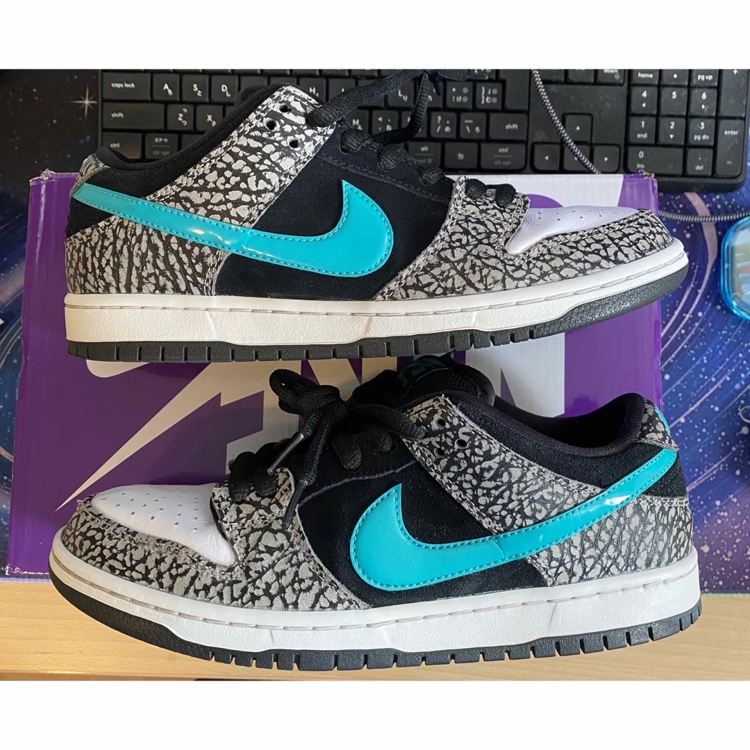 Nike SB Dunk Low Elephant atmos 26cm