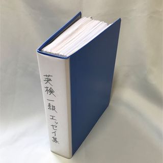 英検1級英作文添削済集(資格/検定)