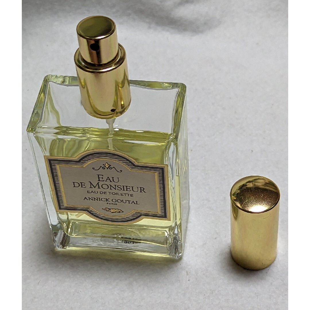 Annick Goutal(アニックグタール)のアニックグタールオードムッシュオードトワレ100ml コスメ/美容の香水(香水(男性用))の商品写真