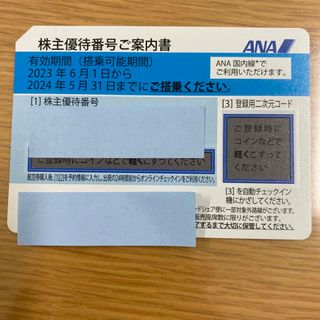 エーエヌエー(ゼンニッポンクウユ)(ANA(全日本空輸))のANA株主優待券　1枚(その他)