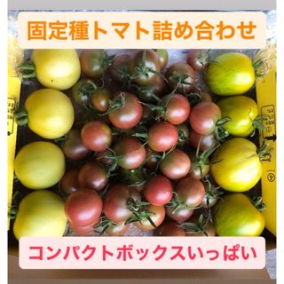 固定種トマト詰め合わせ★当日収穫&露地栽培★約1kg(野菜)