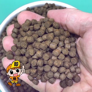 コスパ最高 マダイEPメジャー6（6㎜）500g(アクアリウム)