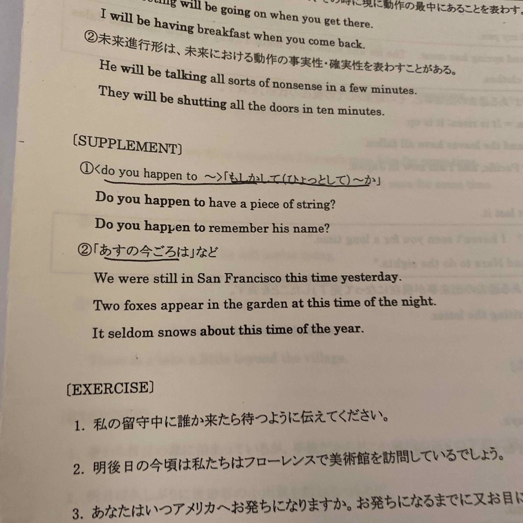 SO01様確認用　平岡塾　英語 エンタメ/ホビーの本(語学/参考書)の商品写真