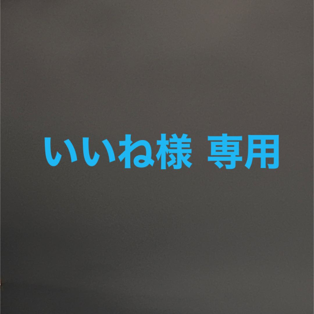 TUSA(ツサ)のいいね様専用　tusa ウェイトベルト スポーツ/アウトドアのスポーツ/アウトドア その他(マリン/スイミング)の商品写真