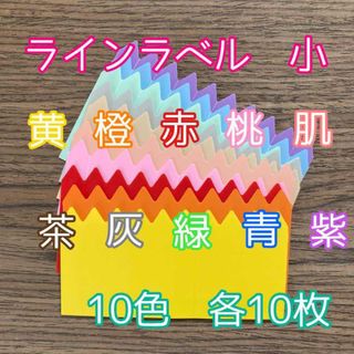 ラインラベル 小 10色各10枚 園芸カラーラベル 多肉植物 エケベリア(プランター)