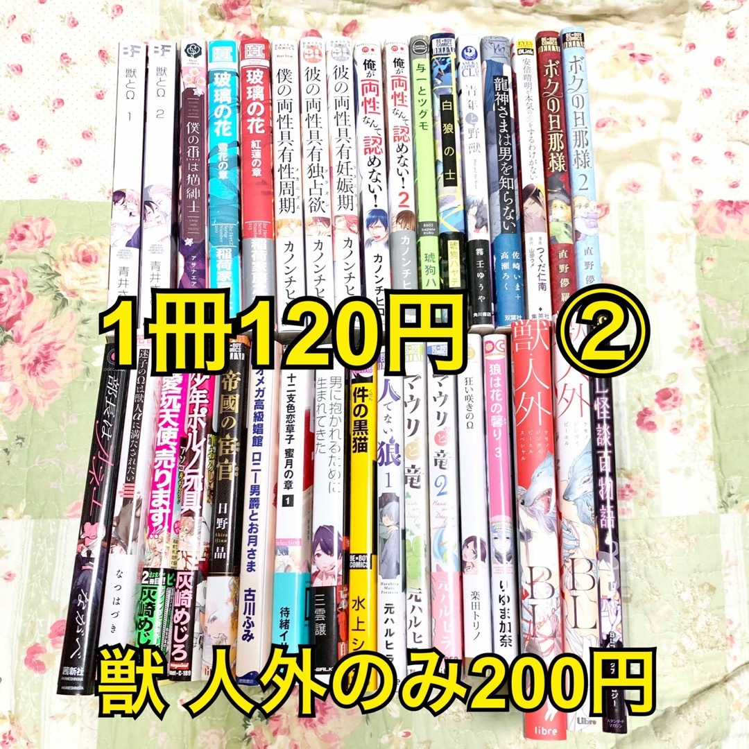 ごめんねアイドルくん¥100bl 本まとめ② バラ売り - 女性漫画