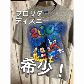 ディズニー(Disney)のフロリダ　ディズニーワールド　Tシャツ　Lサイズ(Tシャツ(半袖/袖なし))