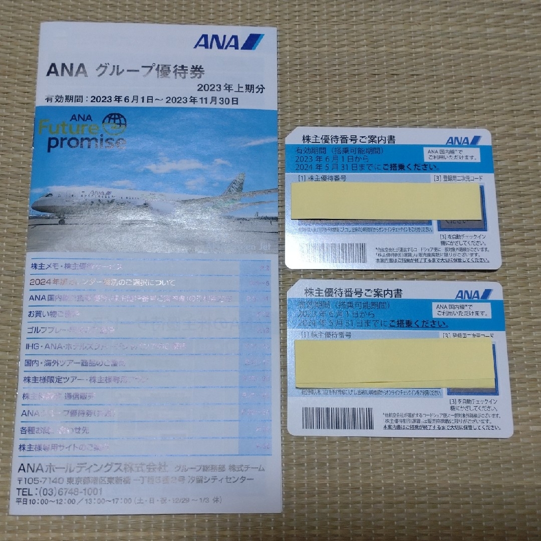 ANA(全日本空輸)(エーエヌエー(ゼンニッポンクウユ))のANA株主優待券 2枚+グループ優待券 チケットの乗車券/交通券(その他)の商品写真