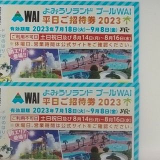 【2枚ラクマパック or 速達】チケットプール　WAI よみうりランド　入場券(プール)