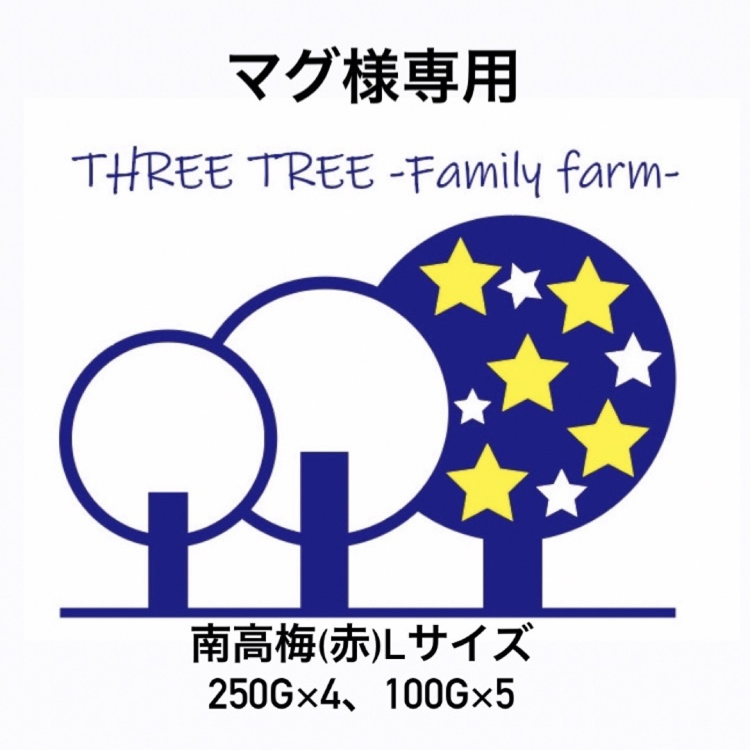 マグ様専用!!紀州南高梅Lサイズ250g×4、100g×5の通販 by THREE TREE's