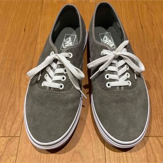 ヴァンズ(VANS)のVANS  オーセンティック  スエード  グレー  灰　限定版(スニーカー)