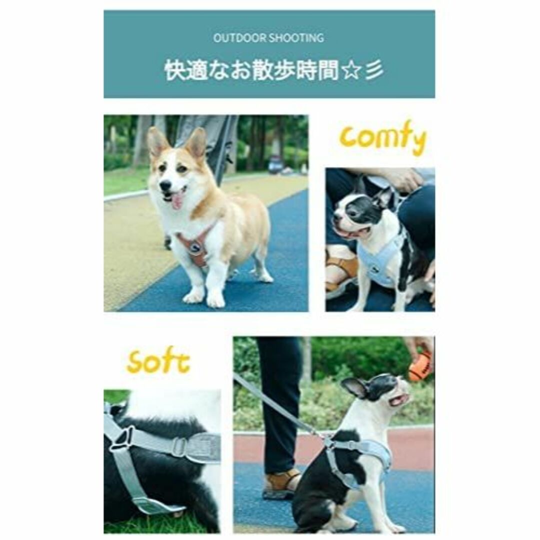 【色: オレンジ】【令和4年アップグレード】 S&L 犬用ハーネス 小型犬 中型