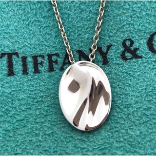Tiffany みずがめ座ネックレス希少-