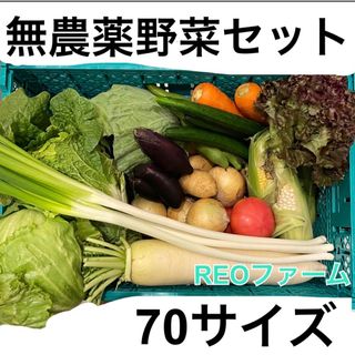 愛知県産　野菜　詰め合わせ　セット　70サイズ(野菜)