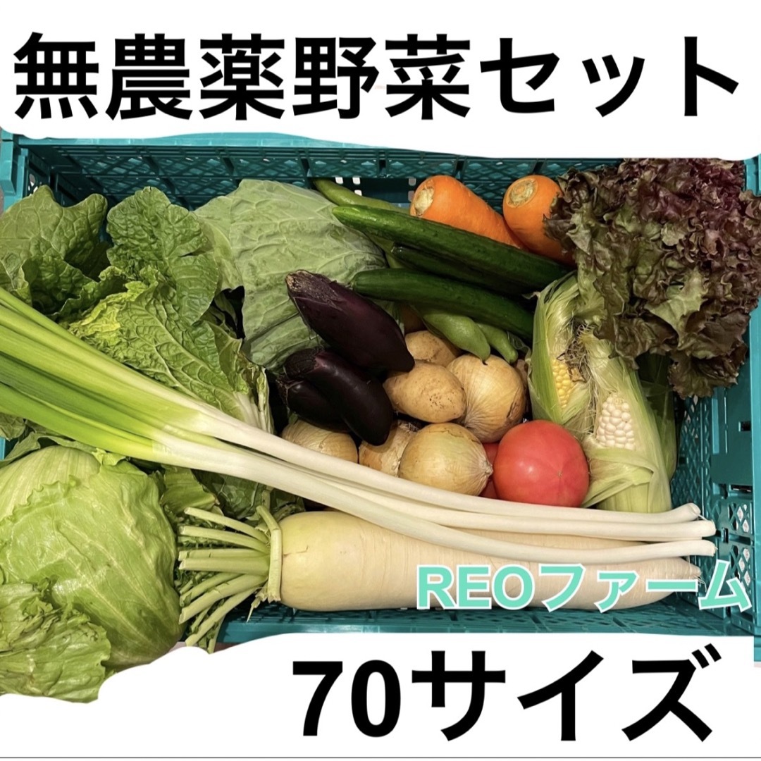 愛知県産　野菜　詰め合わせ　セット　70サイズ 食品/飲料/酒の食品(野菜)の商品写真
