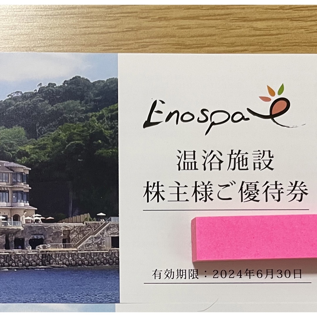 PUMI様専用 江ノ島アイランドスパ 1枚 株主優待 飯田ホールディングス