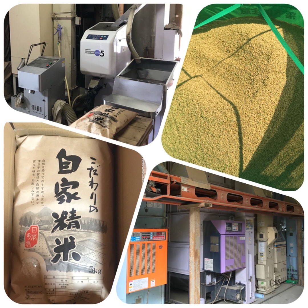 新米 愛知県産コシヒカリ 15㎏(白米13.5㎏)の通販 by センのり's ...