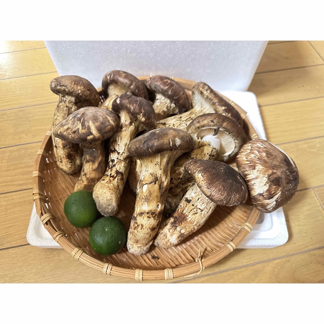 中国産 松茸 約1kg まつたけ マツタケ。 食品/飲料/酒の食品(野菜)の商品写真