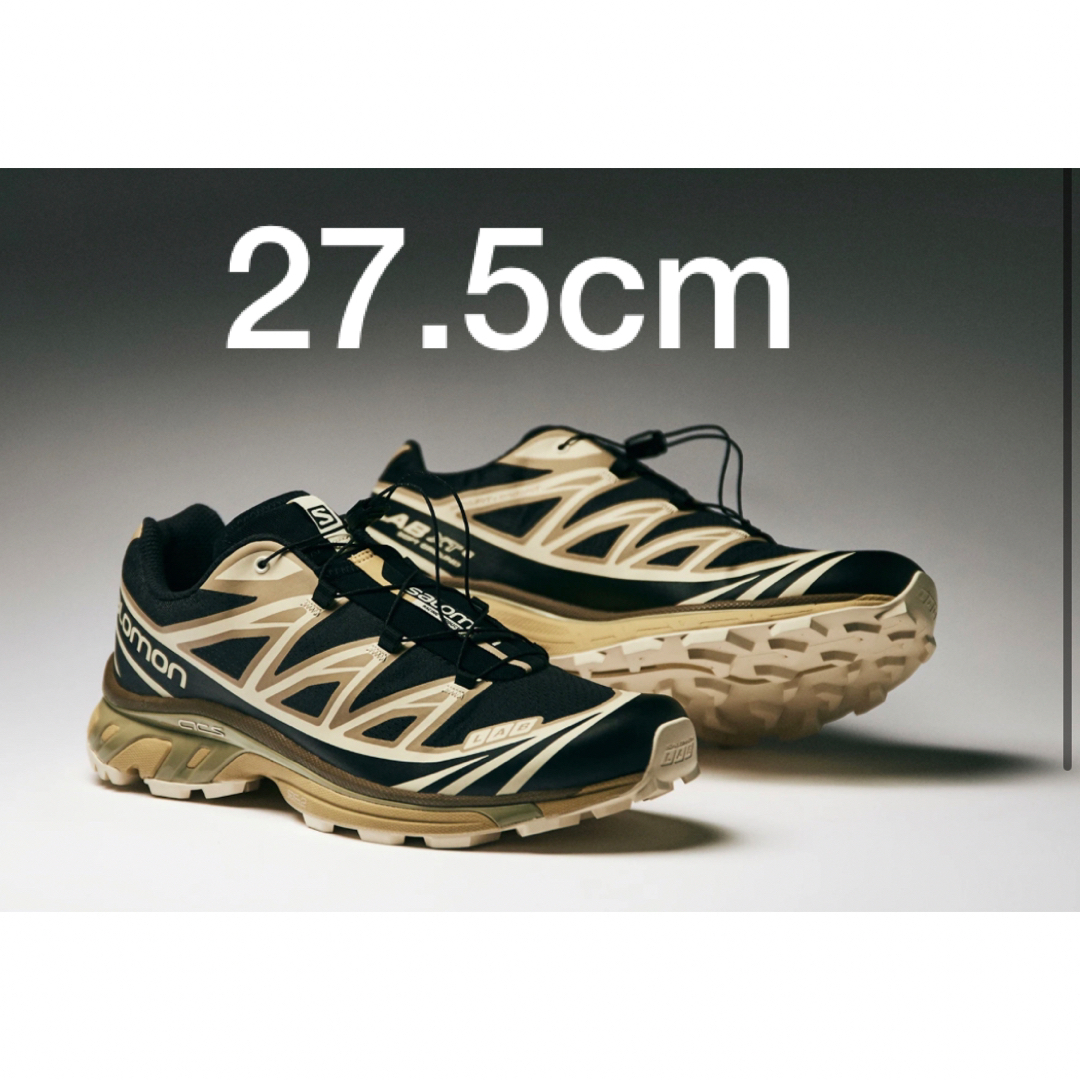 【27.5】END. X SALOMON XT-6 'DARK TRUFFLE'