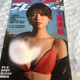 シュウエイシャ(集英社)の週刊 プレイボーイ 2022年 11/28号(音楽/芸能)