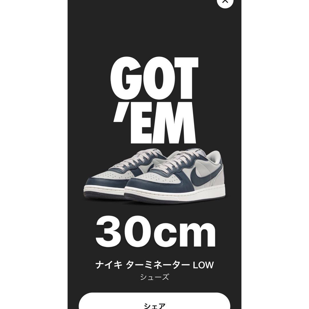 nike ターミネーター　30cm メンズの靴/シューズ(スニーカー)の商品写真