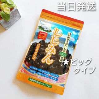 ✽当日発送✽  しじみん  ビッグタイプ  540粒 【新品未開封】(その他)