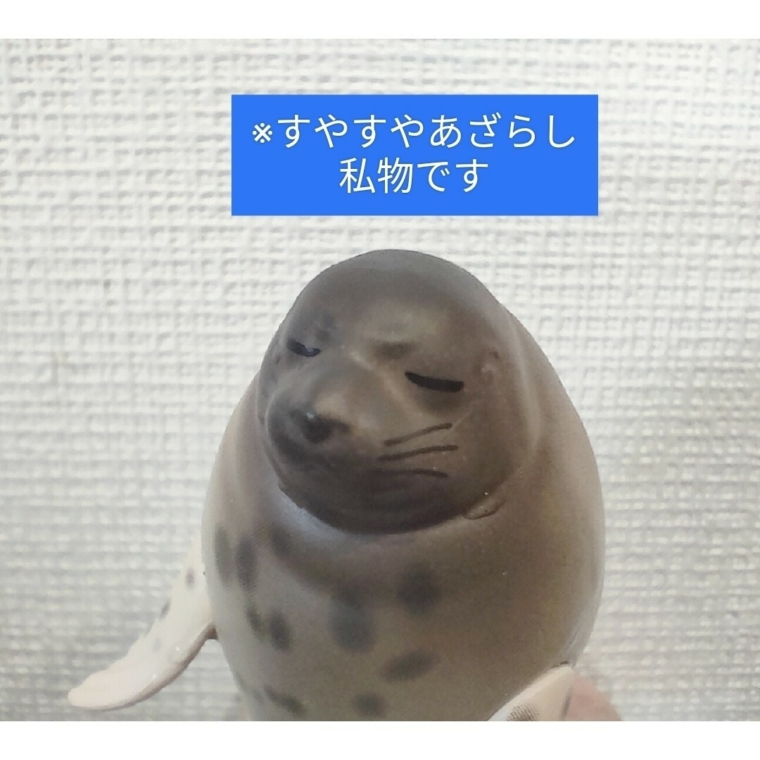 PukaPukaあざらし　ガシャポン　ガチャ エンタメ/ホビーのおもちゃ/ぬいぐるみ(その他)の商品写真