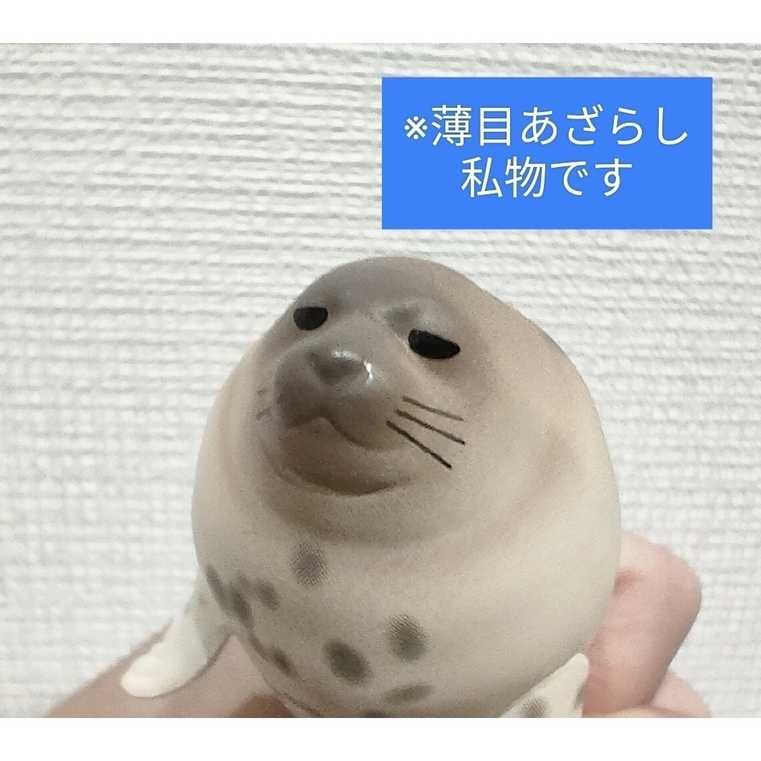 PukaPukaあざらし　ガシャポン　ガチャ エンタメ/ホビーのおもちゃ/ぬいぐるみ(その他)の商品写真