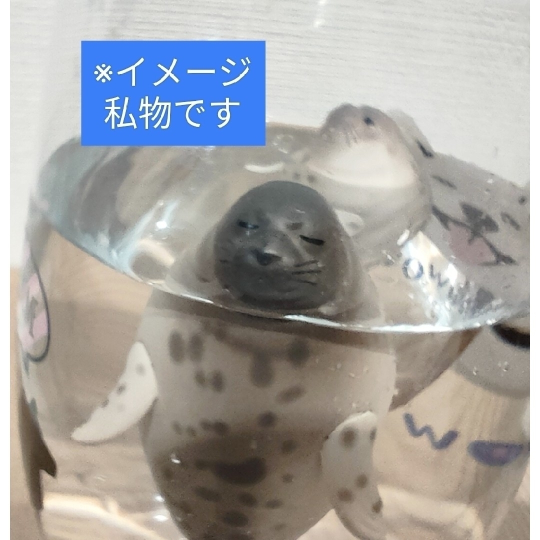 PukaPukaあざらし　ガシャポン　ガチャ エンタメ/ホビーのおもちゃ/ぬいぐるみ(その他)の商品写真