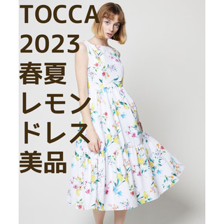 トッカ(TOCCA)の美品♡TOCCA♡チェイルソーレイタリー♡ワンピース(ロングワンピース/マキシワンピース)