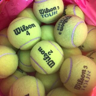 ウィルソン(wilson)のWilson 中古テニスボール20個(ボール)