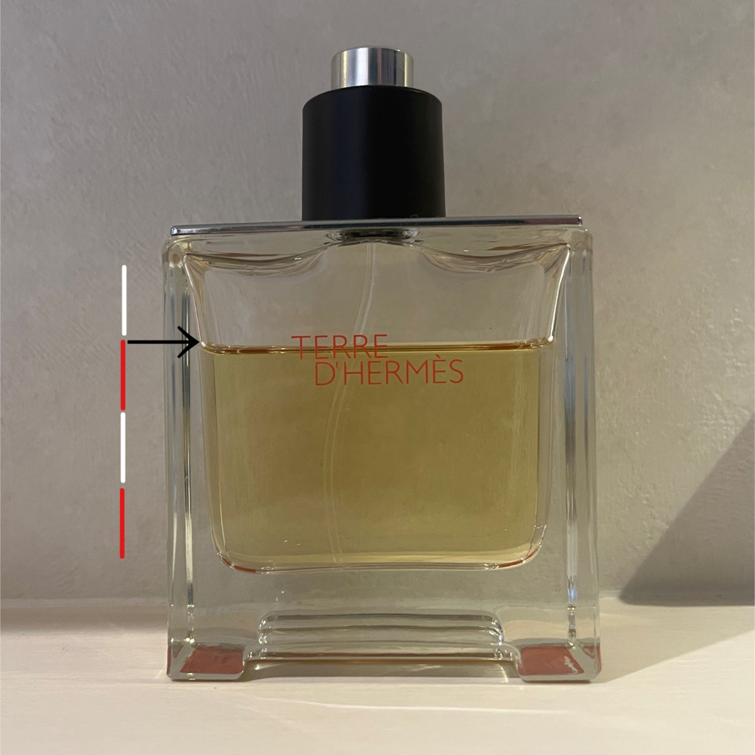 【HERMES】定価¥16940 テールドゥエルメス　オードトワレ 100ml