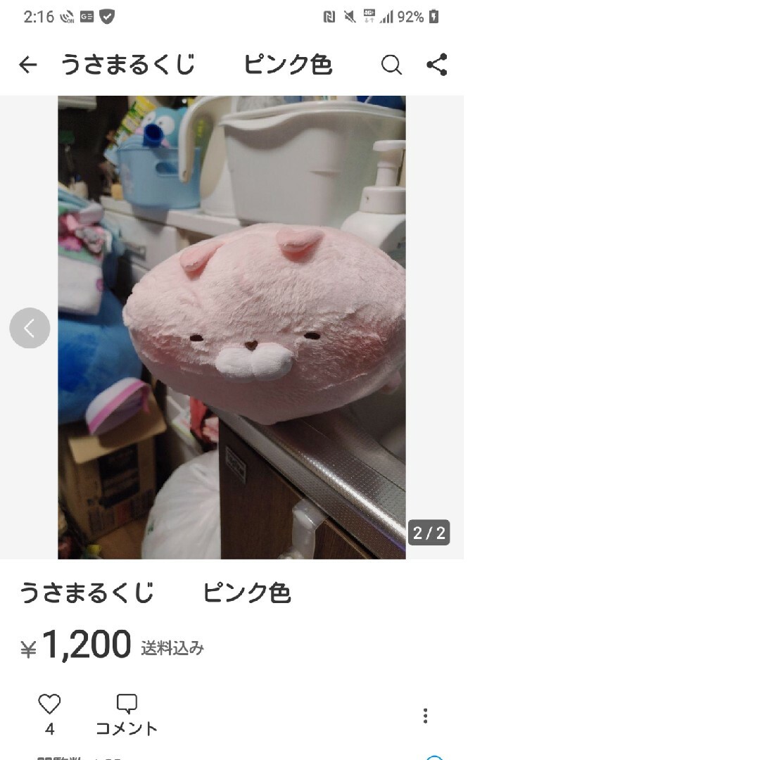 世界100個限定 うさまるアートフォト - アート/写真